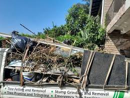Best Recycling Services for Junk  in Delhi, LA